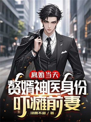离婚当天,赘婿神医身份吓瘫前妻全文免费阅读